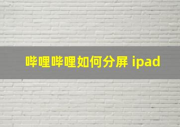 哔哩哔哩如何分屏 ipad